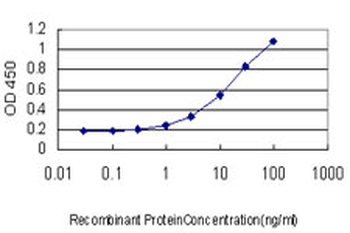 RALB monoclonal antibody (M04), clone 4D1