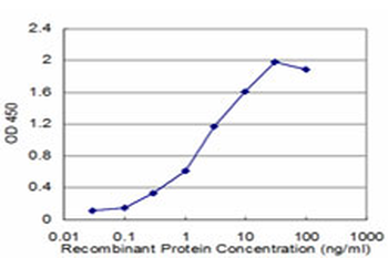 RAB27A monoclonal antibody (M01), clone 4C1