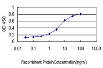 RAB3B monoclonal antibody (M01), clone 3F12