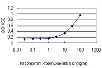RGL2 monoclonal antibody (M02), clone 4D10