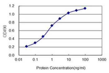 PTPRS monoclonal antibody (M01), clone 1H6