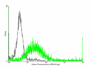 PTGDR purified MaxPab mouse polyclonal antibody (B01P)