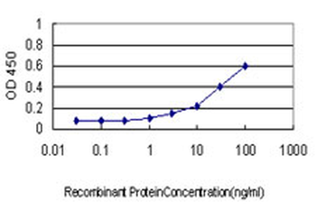 KLK10 monoclonal antibody (M01), clone 1G8