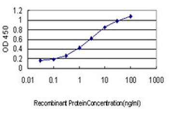 EIF2AK2 monoclonal antibody (M01), clone 1B9