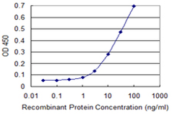 MAPK8 monoclonal antibody (M11), clone 2F11