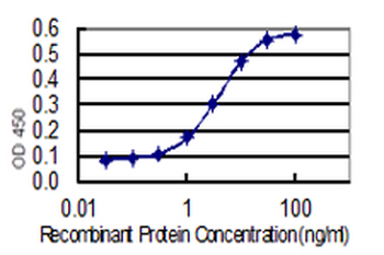 MAPK6 monoclonal antibody (M02), clone 4C11