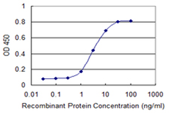 SRGN monoclonal antibody (M03), clone 1D8