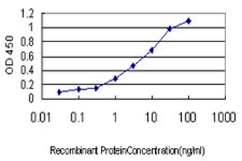 PPOX monoclonal antibody (M01), clone 2F10