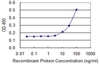 PPM1A monoclonal antibody (M03), clone 4E11