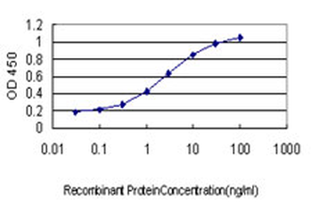 POU3F2 monoclonal antibody (M01), clone 6F6