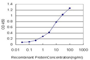 POLR2H monoclonal antibody (M01), clone 3G6-1A4