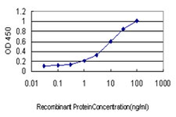 PML monoclonal antibody (M02), clone 1D12