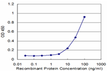 PLS1 monoclonal antibody (M04), clone 3G10