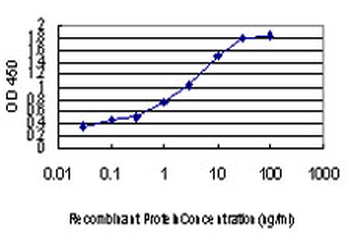 PLD2 monoclonal antibody (M01), clone 1C5