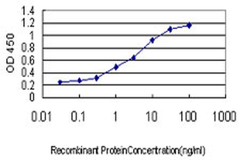 PITX2 monoclonal antibody (M01), clone 2G6