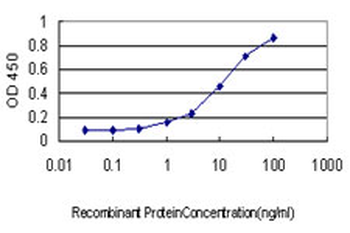 SERPINI1 monoclonal antibody (M01), clone 1D10