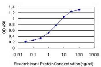 PCNA monoclonal antibody (M04), clone S1