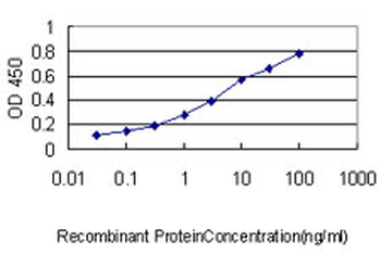 PCNA monoclonal antibody (M02), clone 1G7