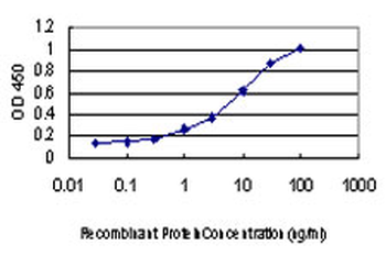 PCBP2 monoclonal antibody (M07), clone 5F12