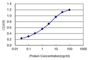 PAX2 monoclonal antibody (M02), clone 2E4