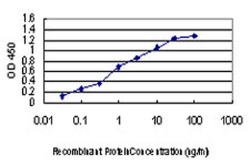 PAK1 monoclonal antibody (M02), clone 4D1