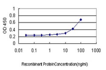 NR4A2 monoclonal antibody (M07), clone 4A6