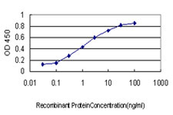 NRF1 monoclonal antibody (M01), clone 2F9