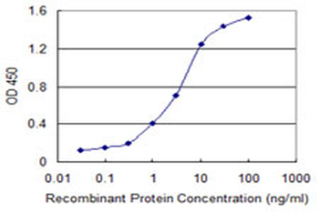 SLC11A2 monoclonal antibody (M01), clone 4C6