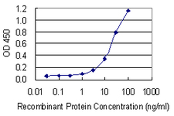 NPM1 monoclonal antibody (M01), clone 3B2