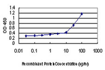 NDN monoclonal antibody (M02), clone 1B3
