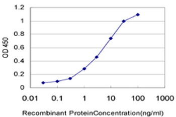 HNRPM monoclonal antibody (M03), clone 3F7