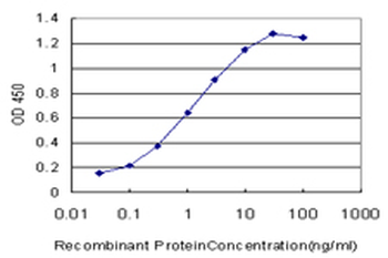 MYH9 monoclonal antibody (M06), clone 4H3