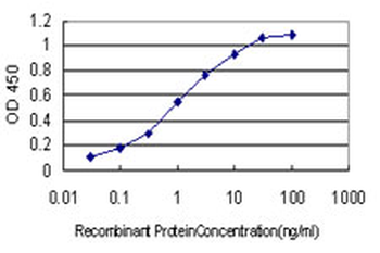 MYBPH monoclonal antibody (M01), clone 1F11