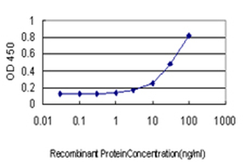 MUTYH monoclonal antibody (M01), clone 4D10