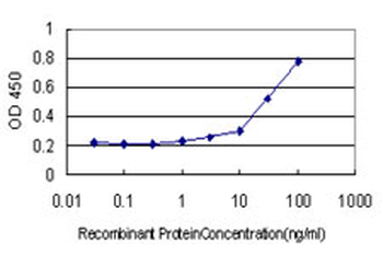 MTM1 monoclonal antibody (M01), clone 1C10