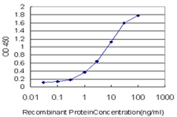 MSH5 monoclonal antibody (M08), clone 1C11