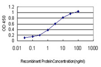 RAB8A monoclonal antibody (M02), clone 3G1