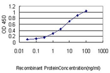 MEIS2 monoclonal antibody (M01), clone 1H4