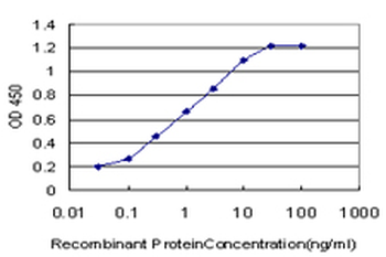NBR1 monoclonal antibody (M05), clone 5C3