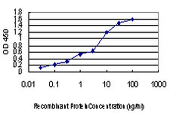 LRP5 monoclonal antibody (M01), clone 1E9