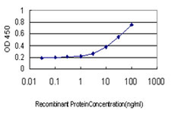 LOXL2 monoclonal antibody (M01), clone 5D2