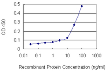 LMNB1 monoclonal antibody (M01), clone 4B10