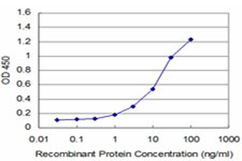 LIMK1 monoclonal antibody (M05), clone 2E9