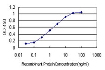 LAMB3 monoclonal antibody (M01), clone 2G10