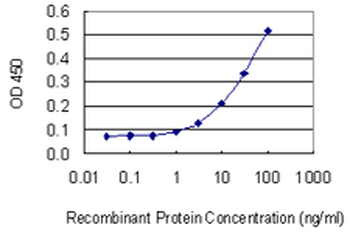LAMA2 monoclonal antibody (M01), clone 2D4