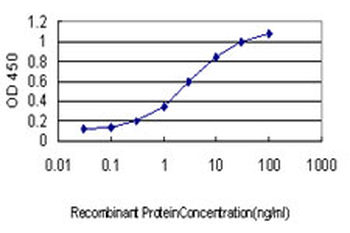 RANBP5 monoclonal antibody (M01), clone 1C4
