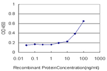 KPNA5 monoclonal antibody (M01), clone 1D2