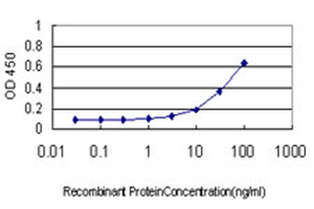 KPNA1 monoclonal antibody (M01), clone 2A4-1B5