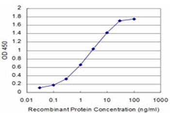 IL13RA2 monoclonal antibody (M01), clone 2E10