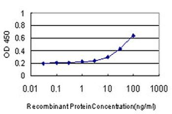 IL1B monoclonal antibody (M01), clone 2A8